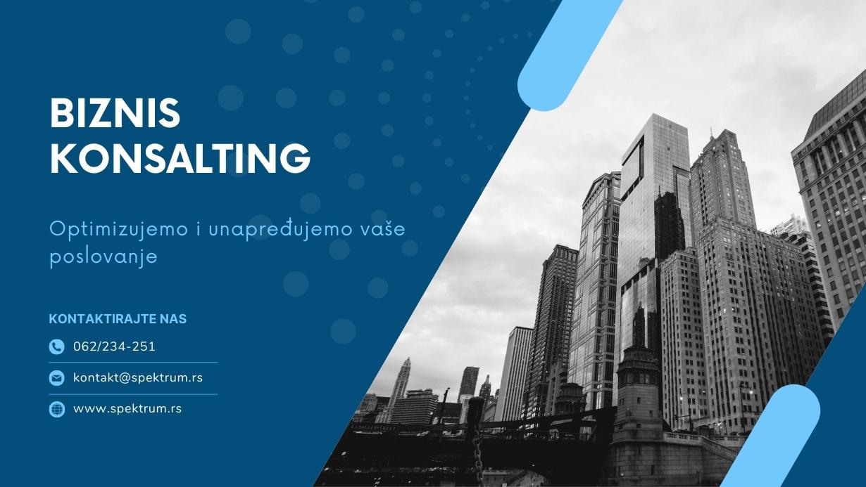 biznis konsalting